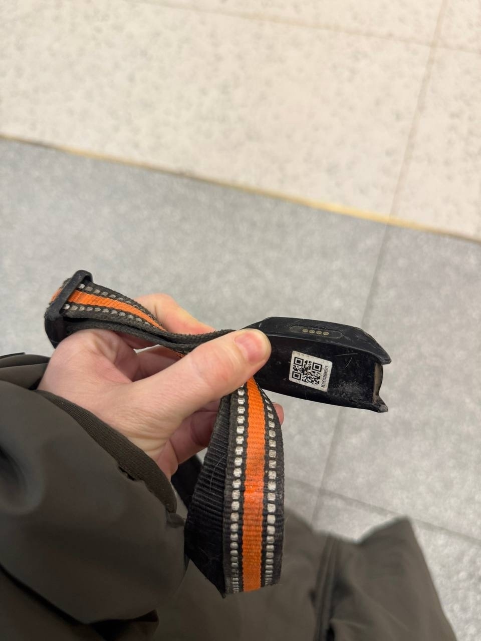 Найдена собака в Одинцове — фото объявления