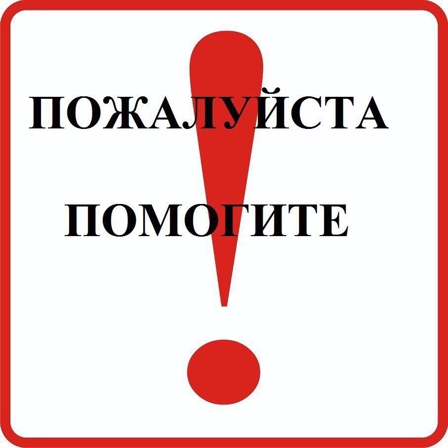 Пропала собака в Петрозаводске — фото объявления