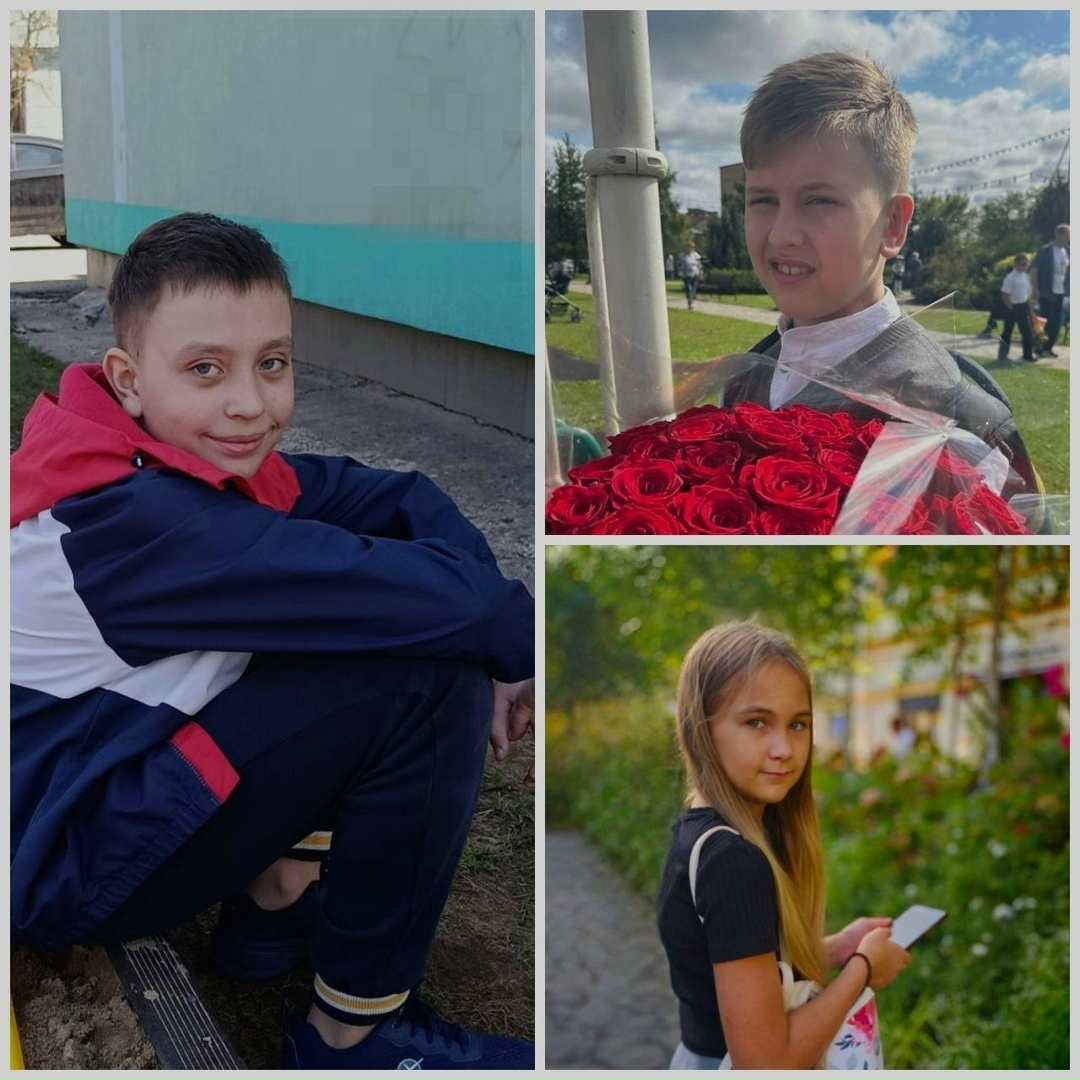 Найдена собака в Коломне — фото объявления