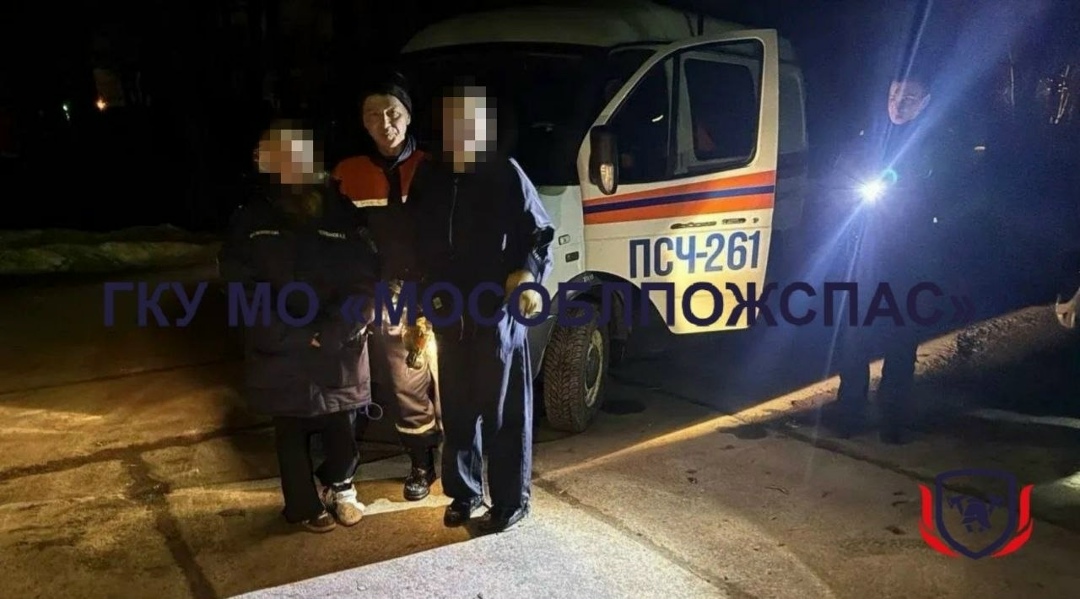 Найдена собака в Коломне — фото объявления