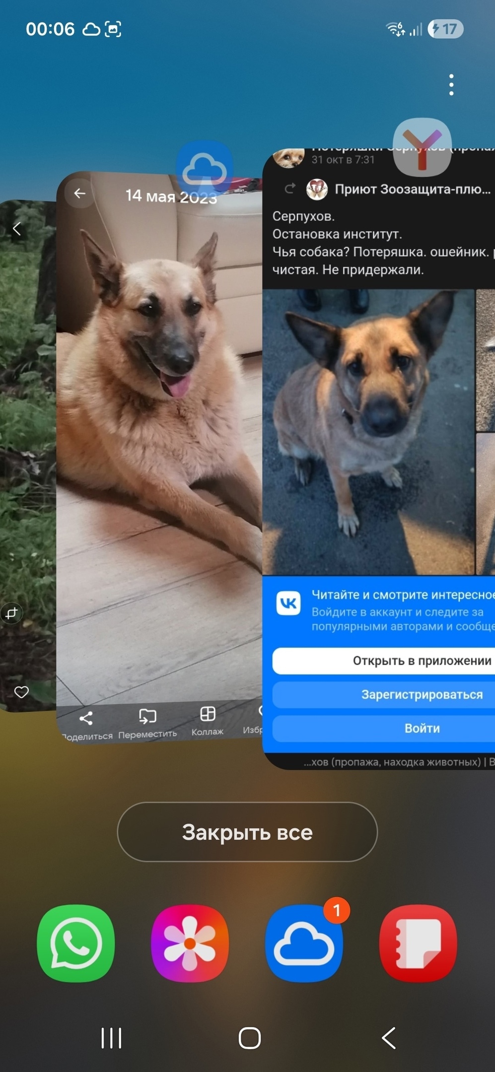 Пропала собака в Серпухове — фото объявления