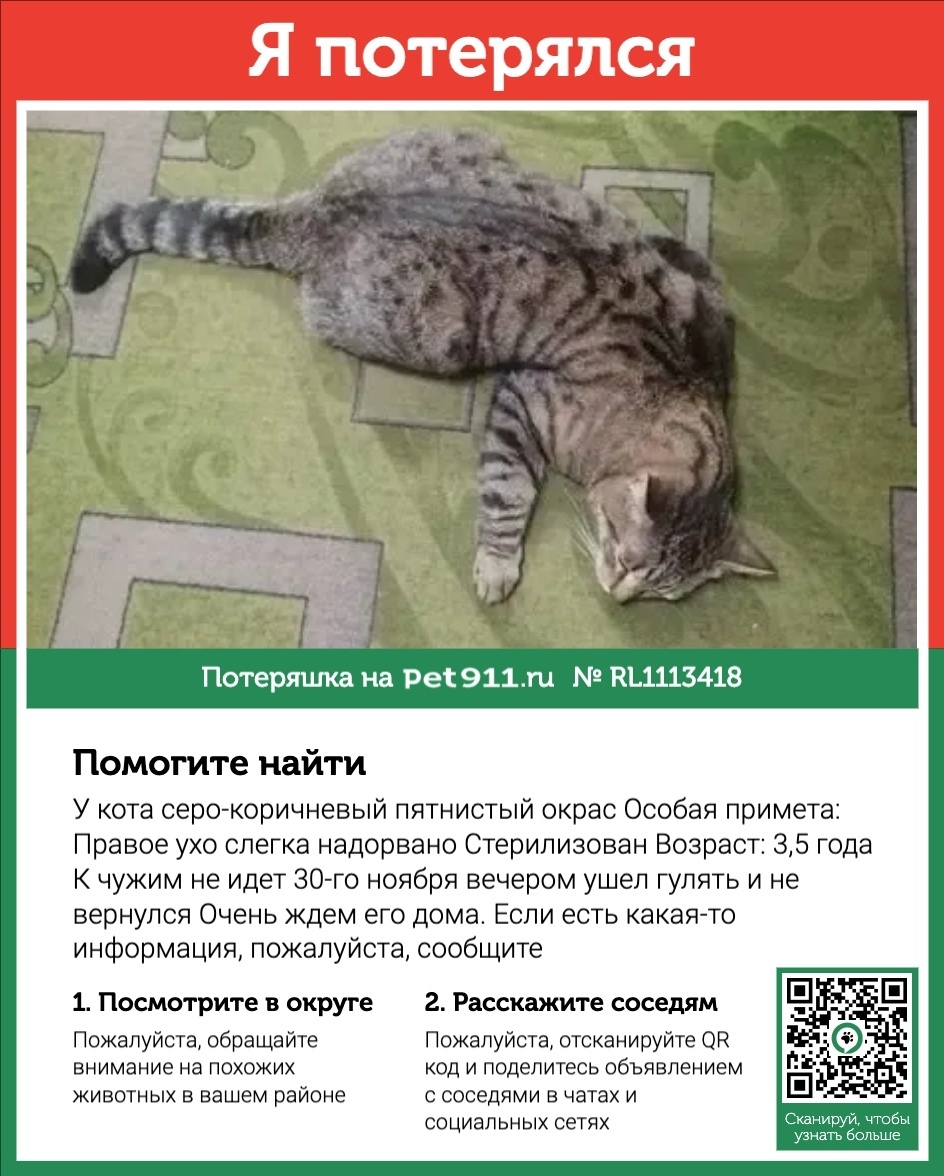 Пропала собака в Реутове — фото объявления