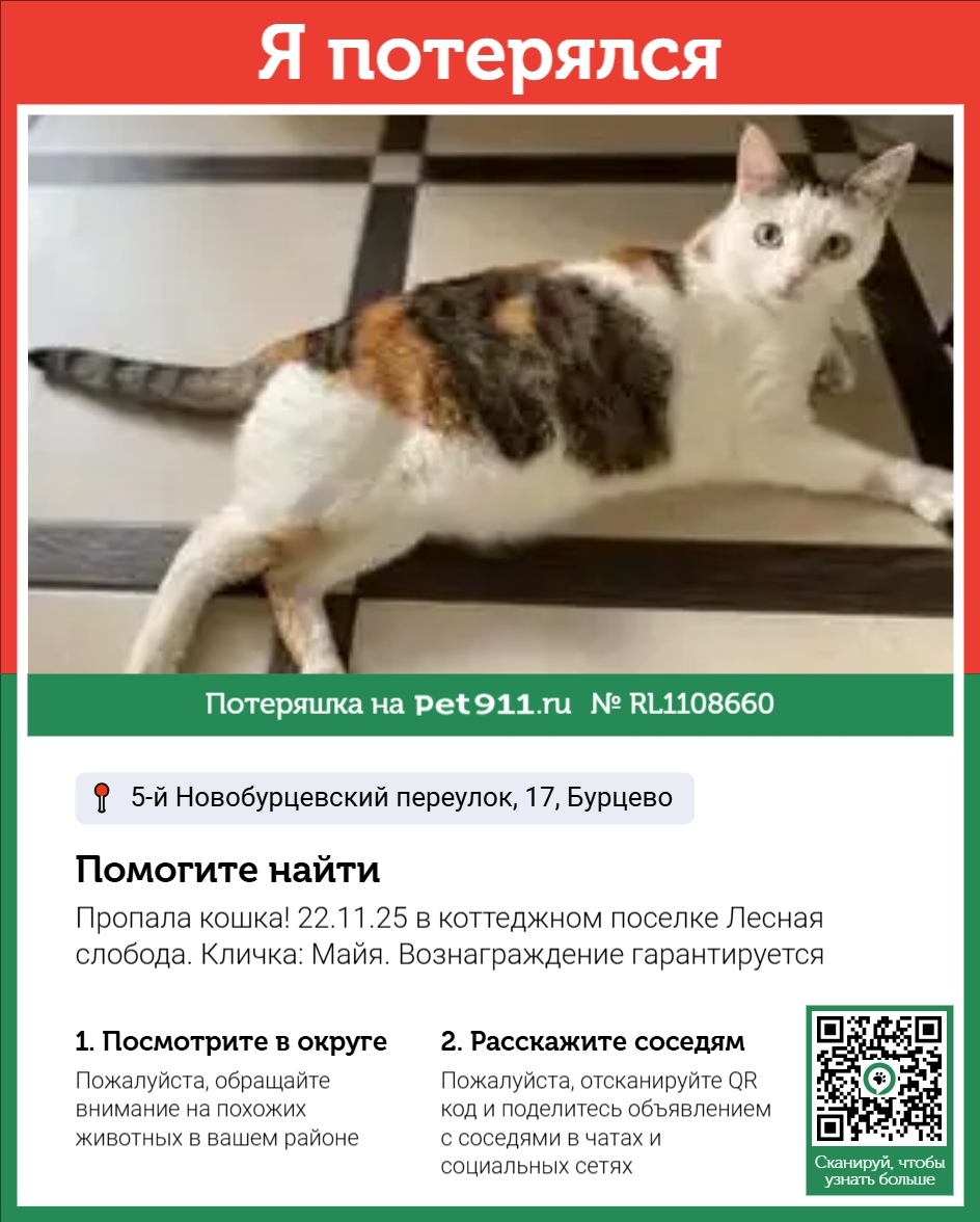 Найдена кошка в Реутове — фото объявления
