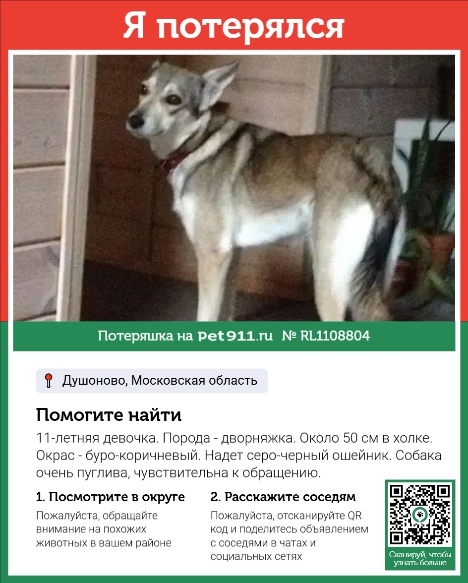 Пропала собака в Реутове — фото объявления