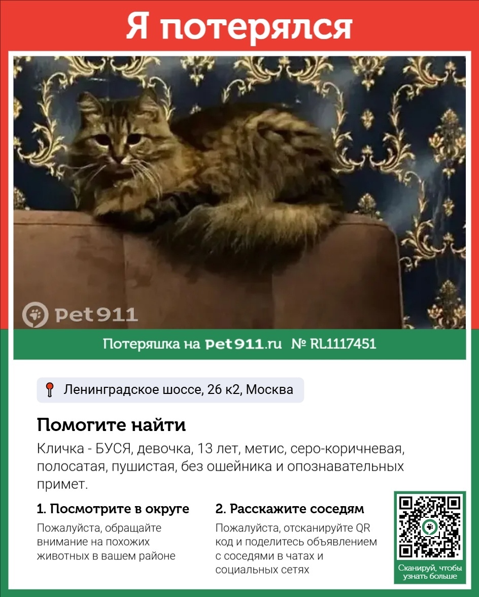 Пропала кошка в Реутове — фото объявления
