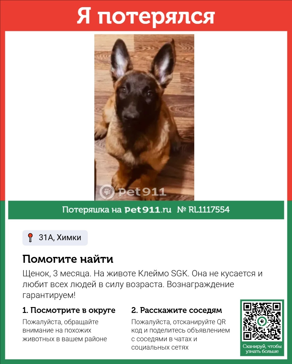 Пропала собака в Реутове — фото объявления