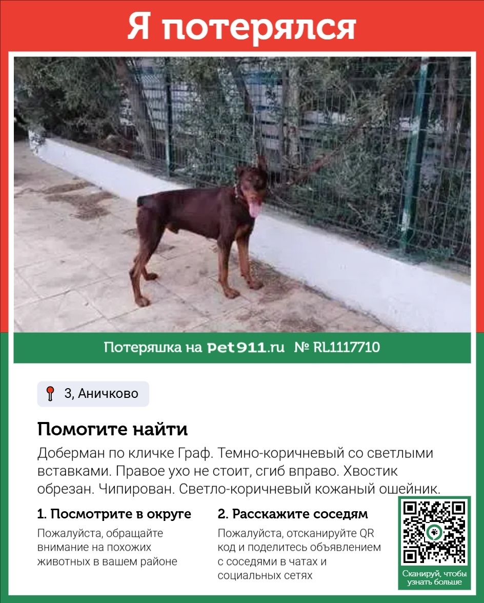 Пропала собака в Реутове — фото объявления