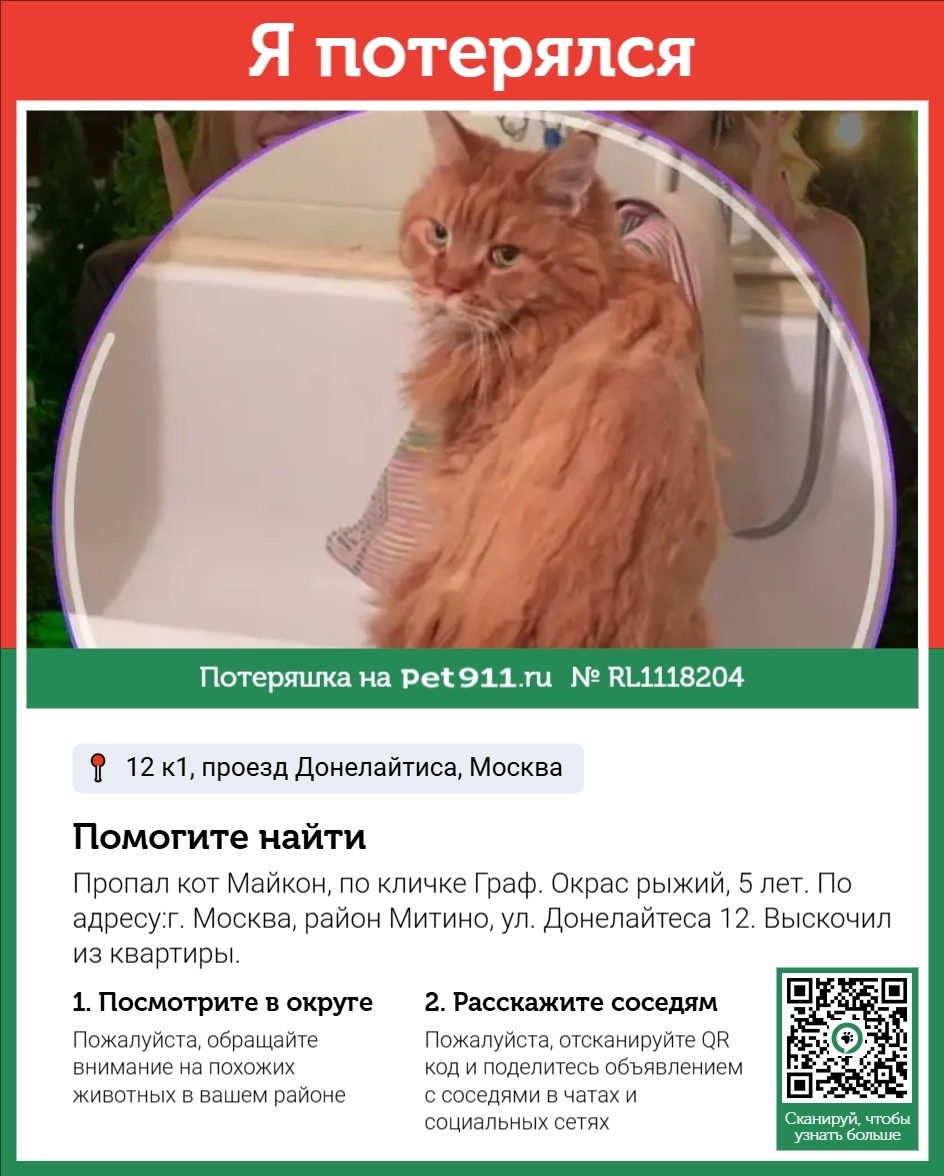 Пропала кошка в Реутове — фото объявления