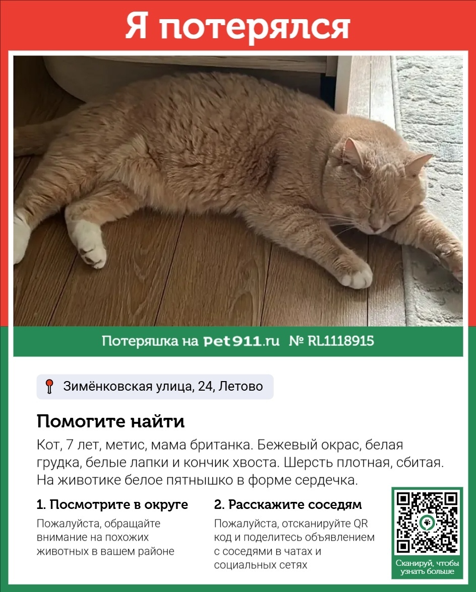 Пропала собака в Реутове — фото объявления