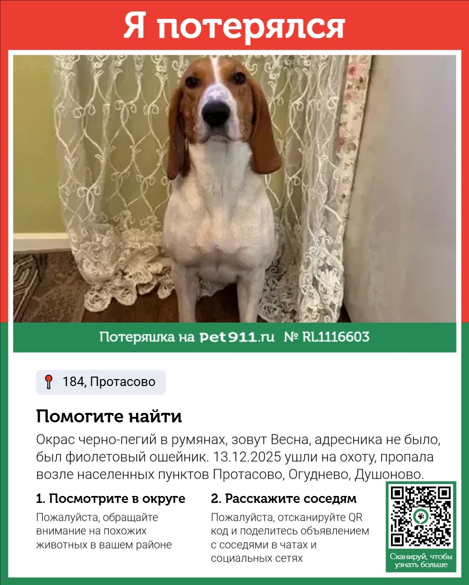 Пропала собака в Реутове — фото объявления