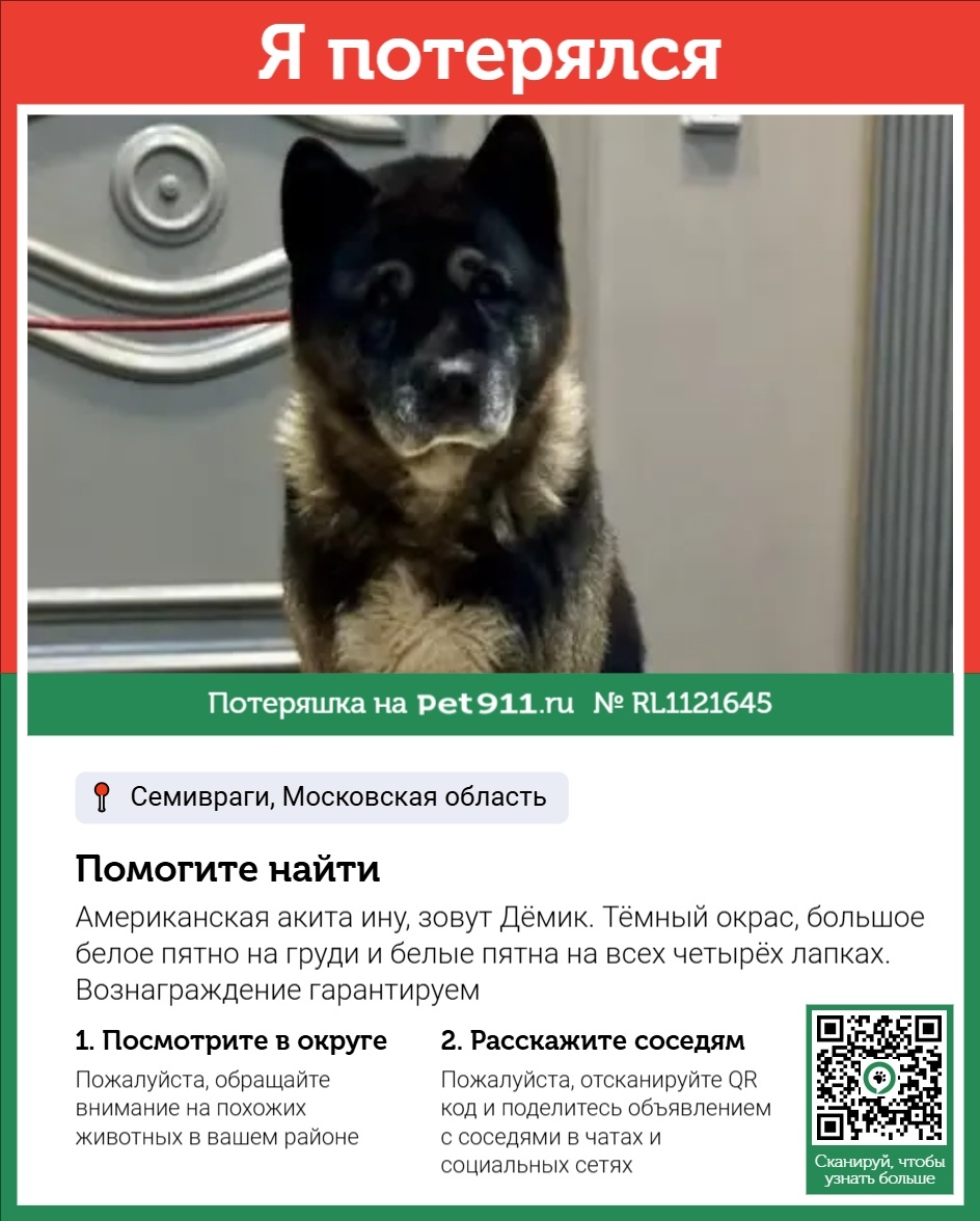 Пропала собака в Реутове — фото объявления