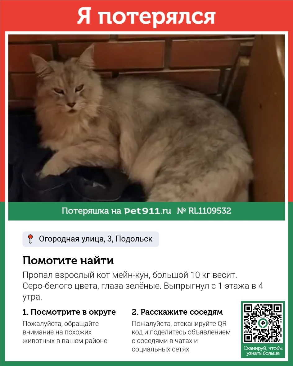 Пропала кошка в Реутове — фото объявления