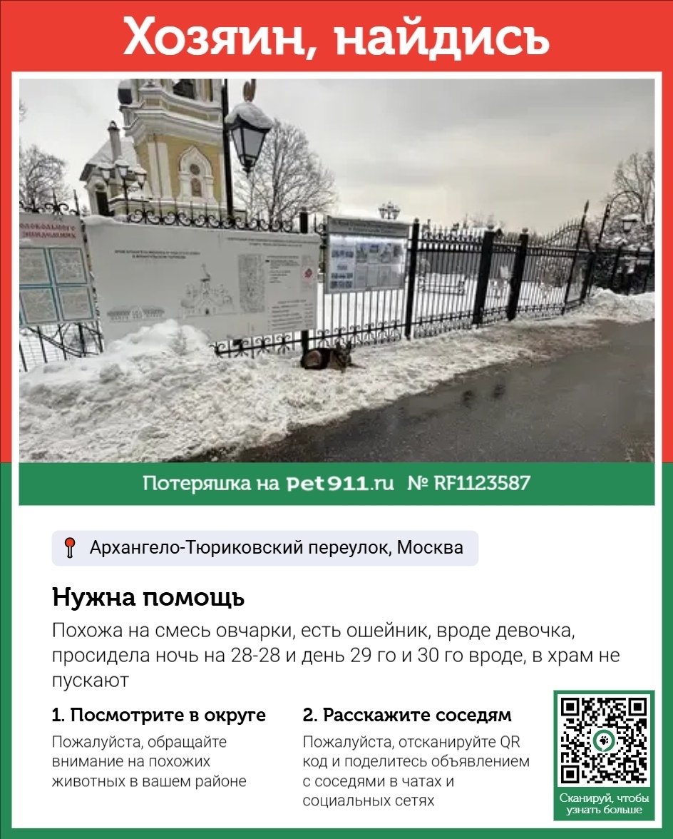 Найдена собака в Реутове — фото объявления