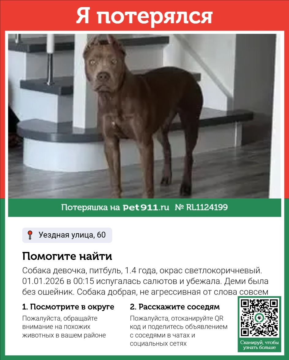 Пропала собака в Реутове — фото объявления