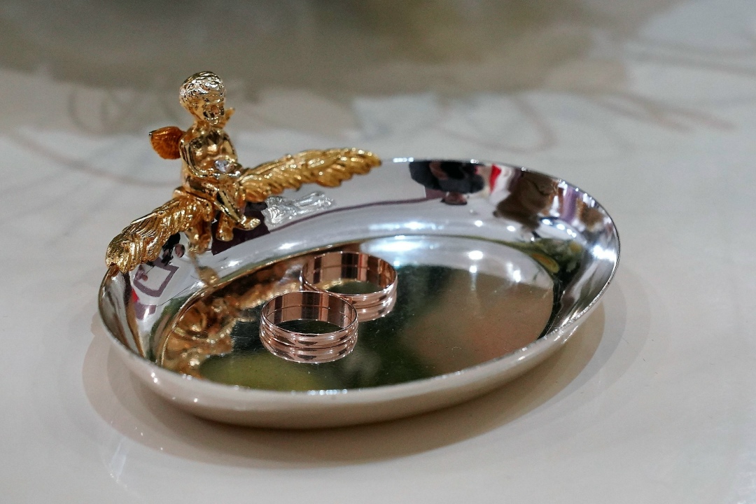 Найдена собака в Реутове — фото объявления