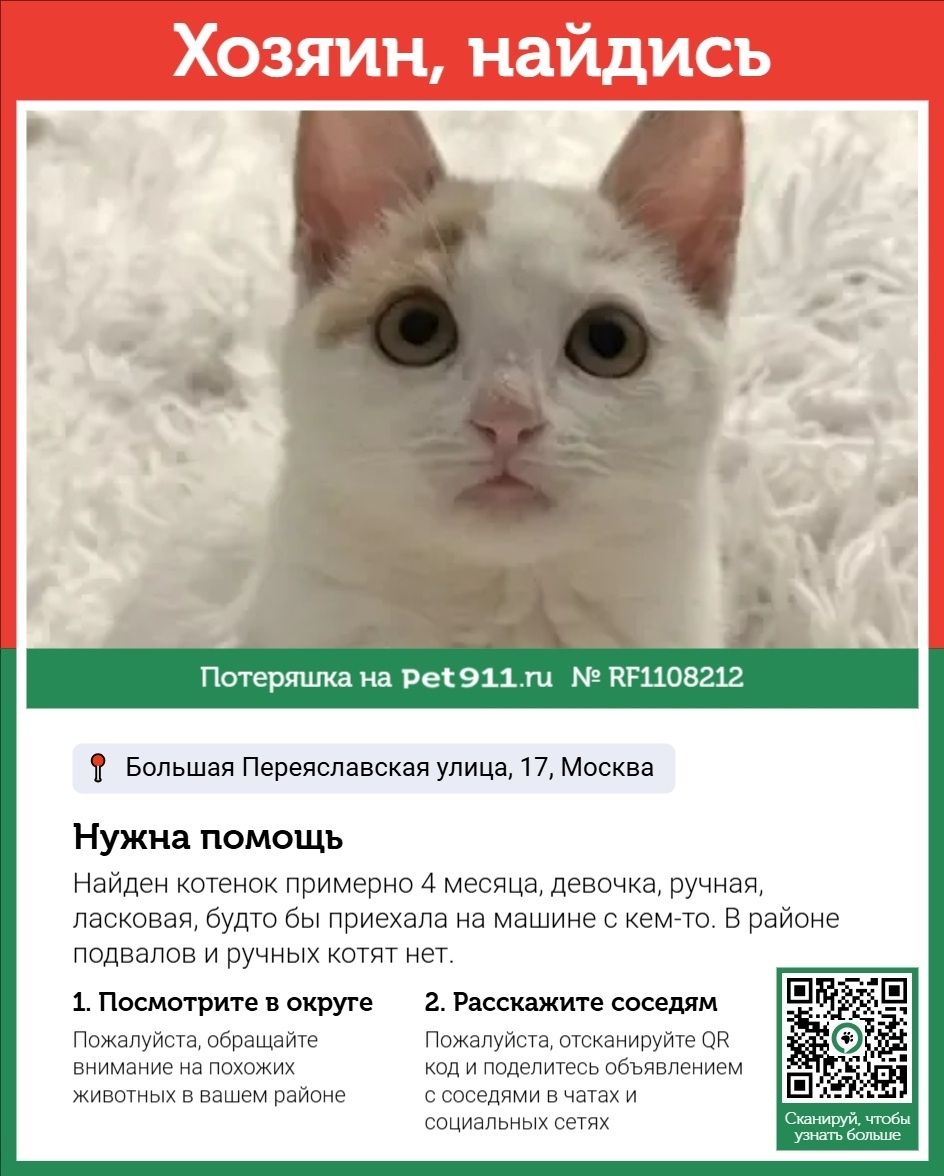 Найдена кошка в Реутове — фото объявления
