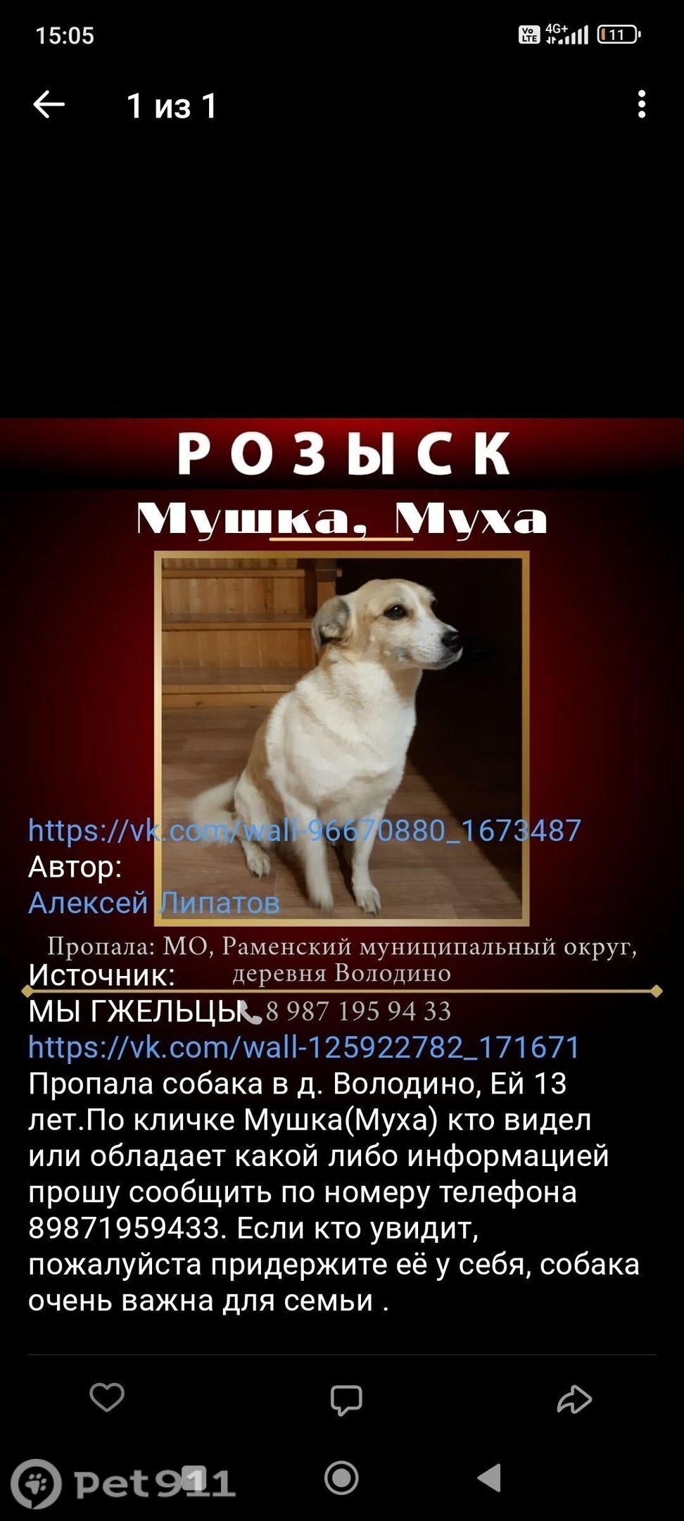 Пропала собака в Реутове — фото объявления