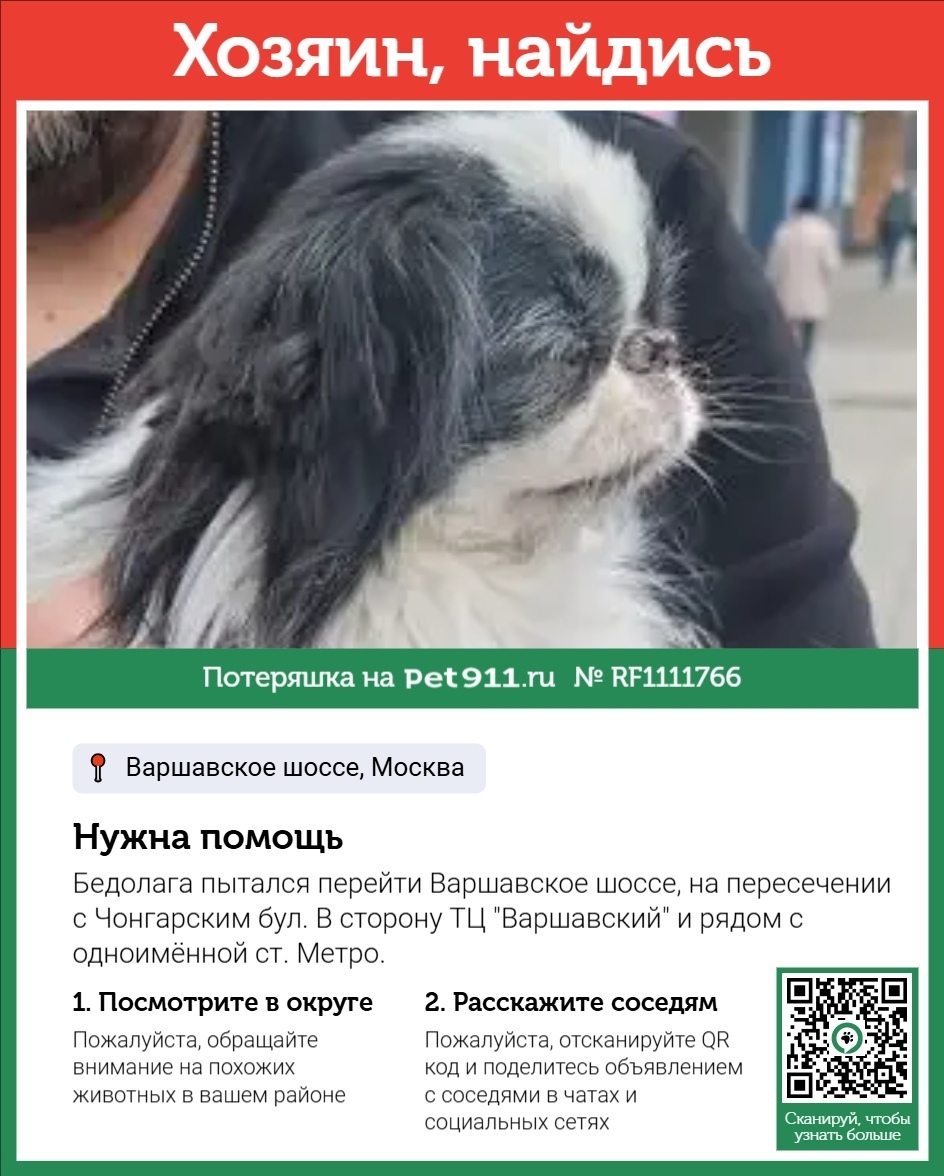 Найдена собака в Реутове — фото объявления