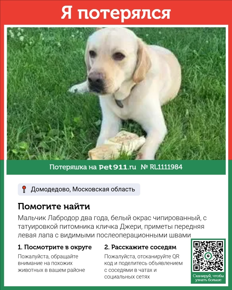 Пропала собака в Реутове — фото объявления