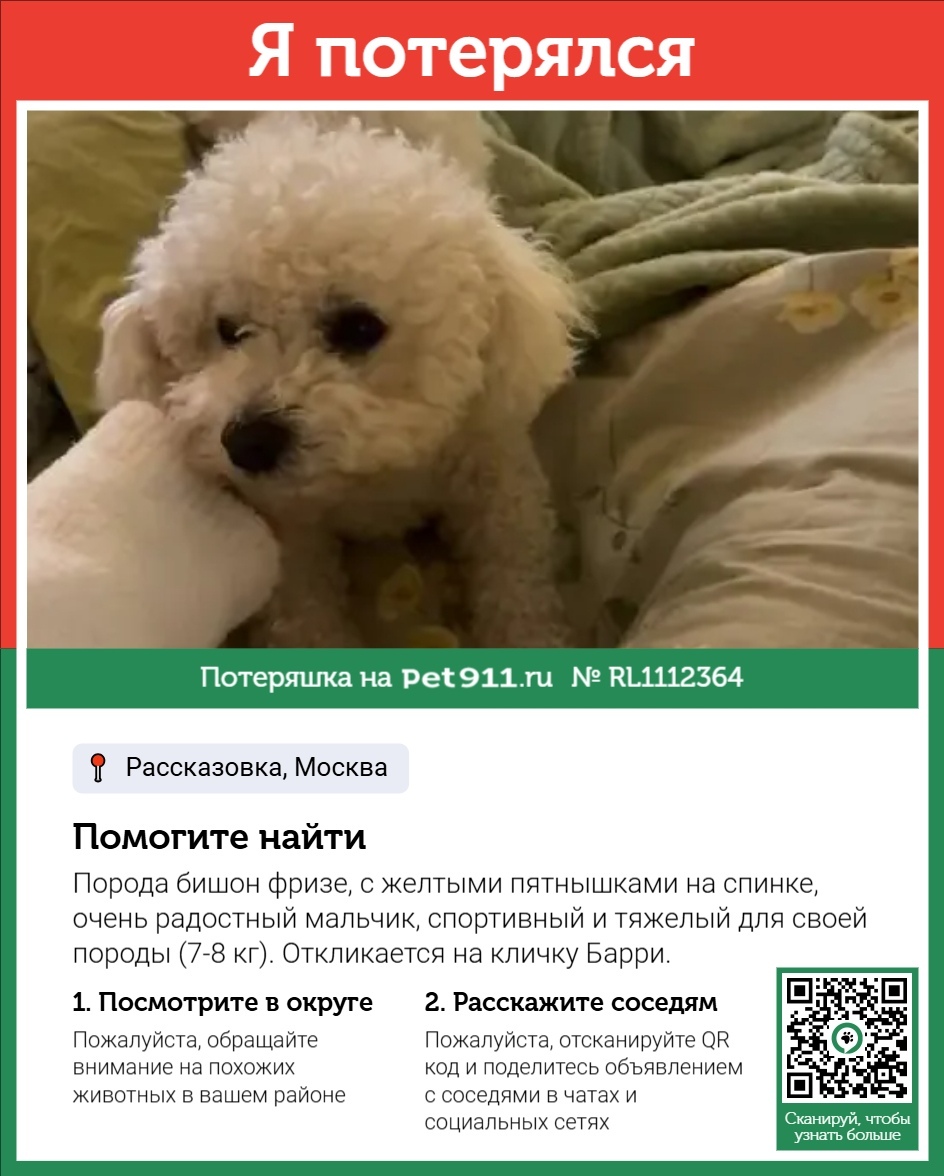 Пропала собака в Реутове — фото объявления