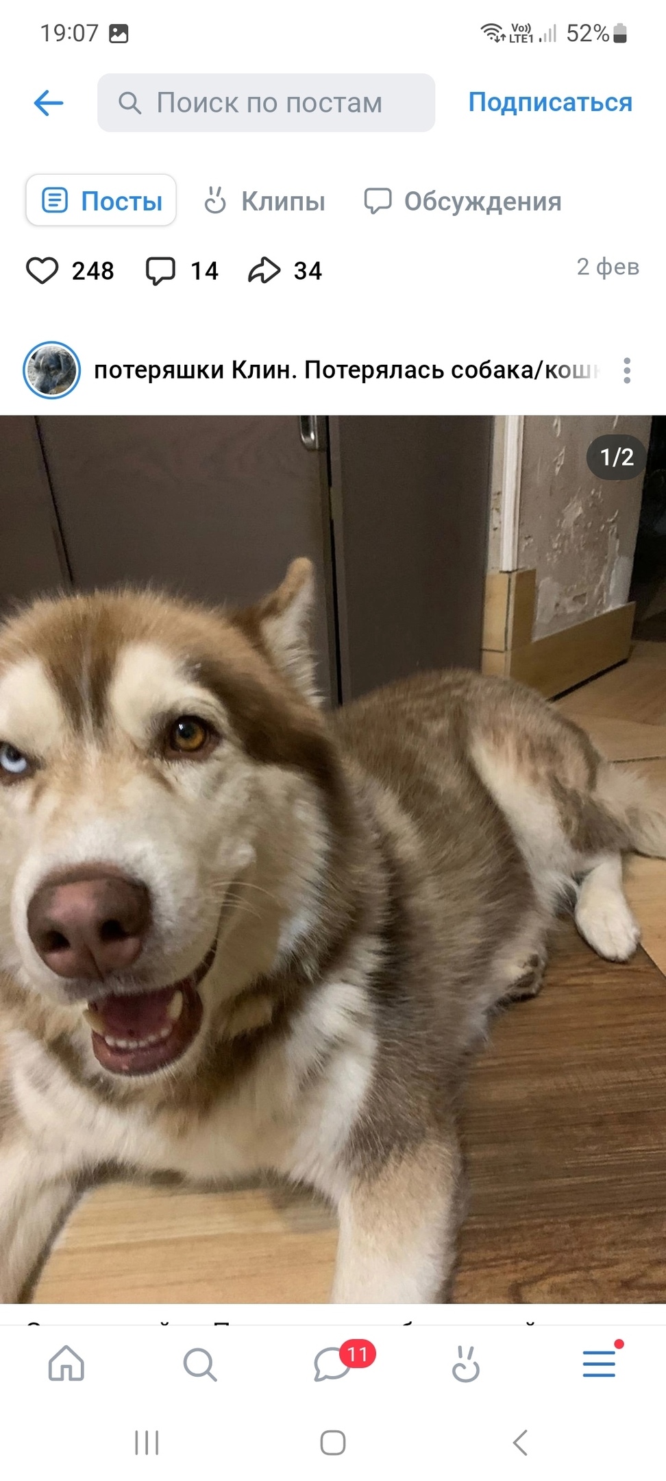 Пропала собака в Клине — фото объявления