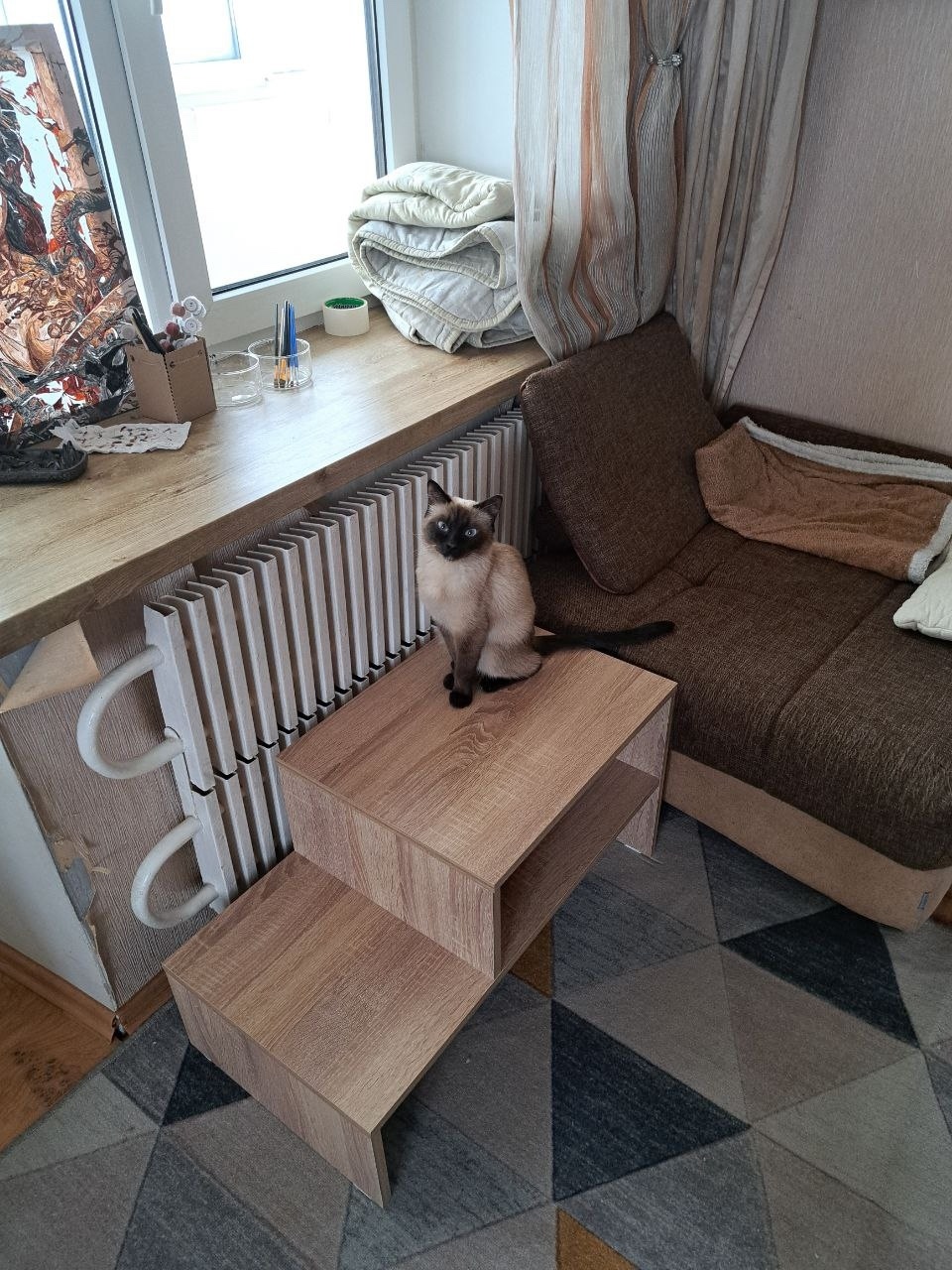 Пропала кошка в Обнинске — фото объявления