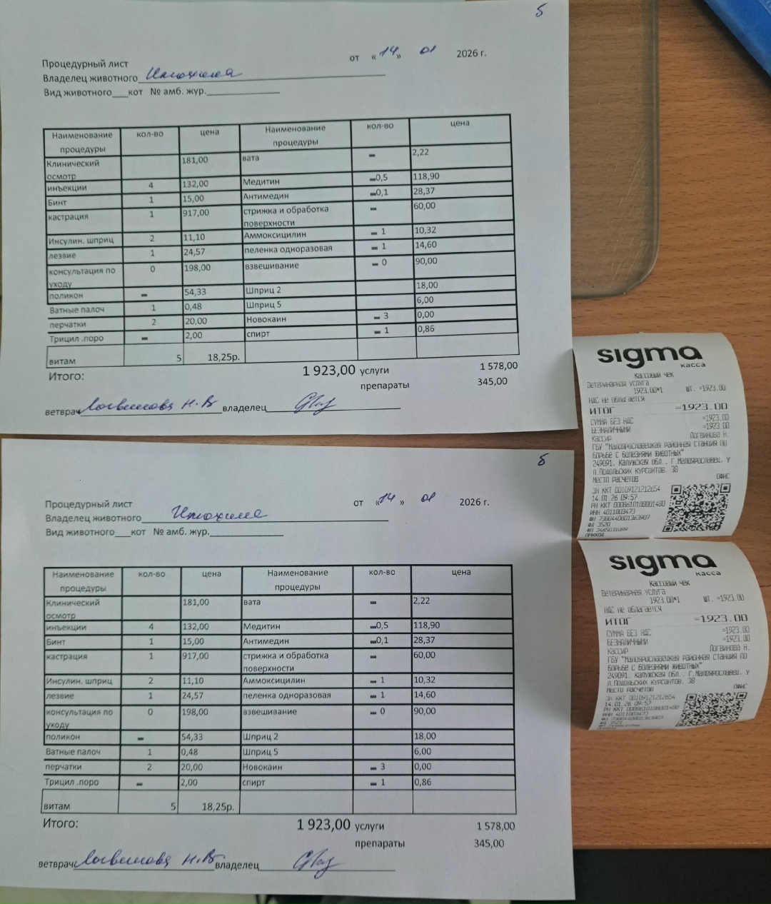 Найдена кошка в Обнинске — фото объявления