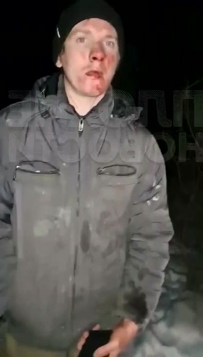 Найдена собака в Ухте — фото объявления