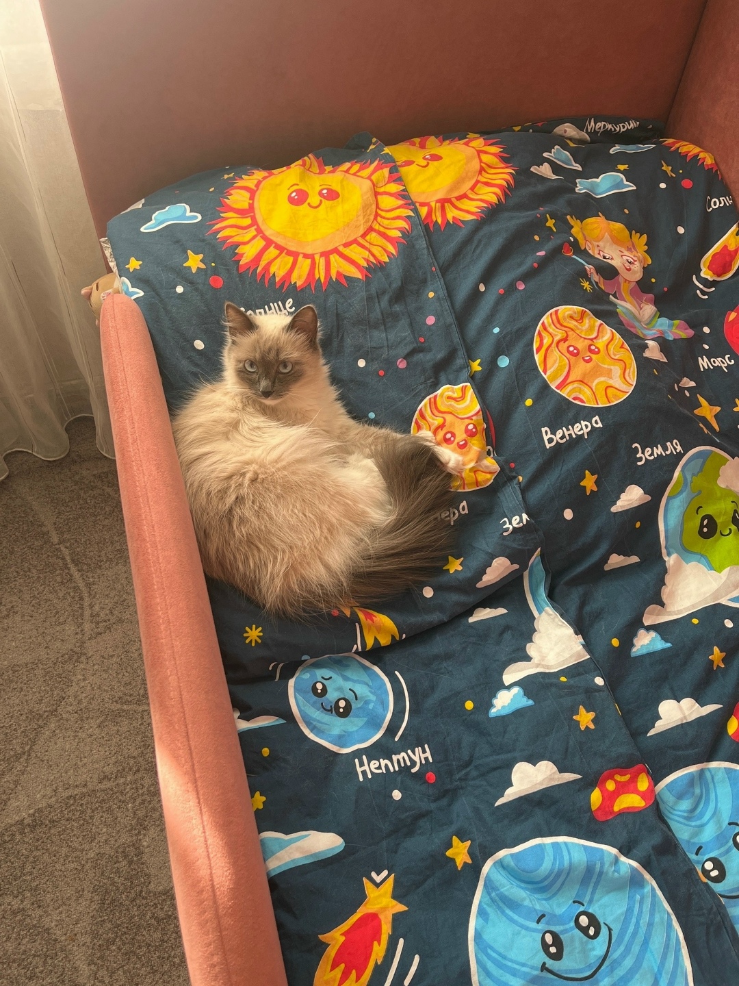 Пропала собака в Златоусте — фото объявления