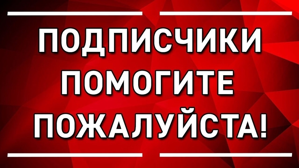 Найдена собака в Троицке — фото объявления