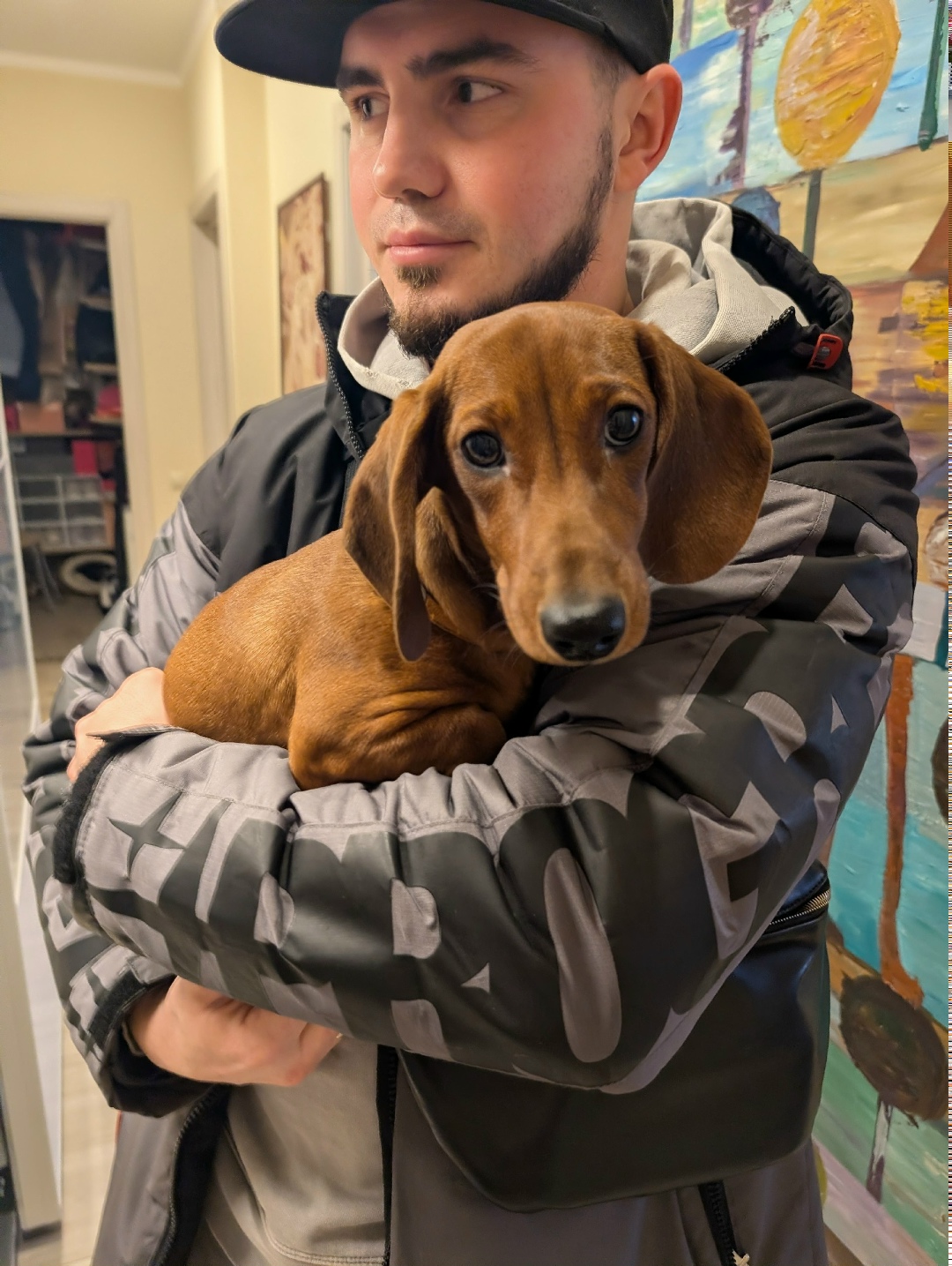 Найдена собака в Ростове-на-Дону — фото объявления