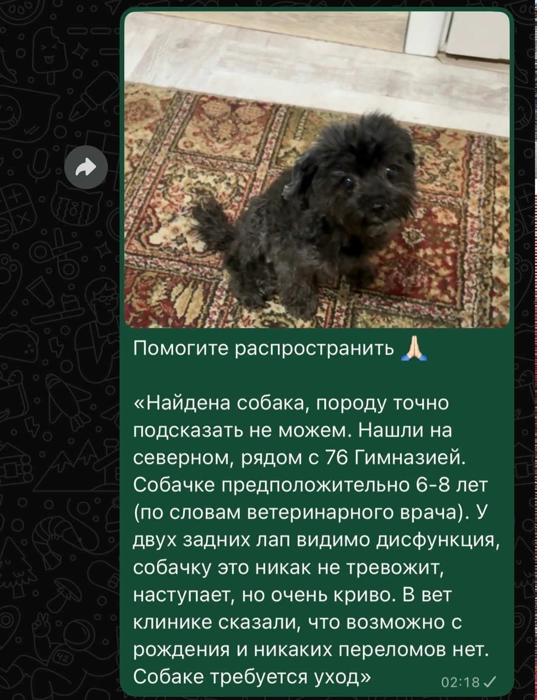 Найдена собака в Ростове-на-Дону — фото объявления