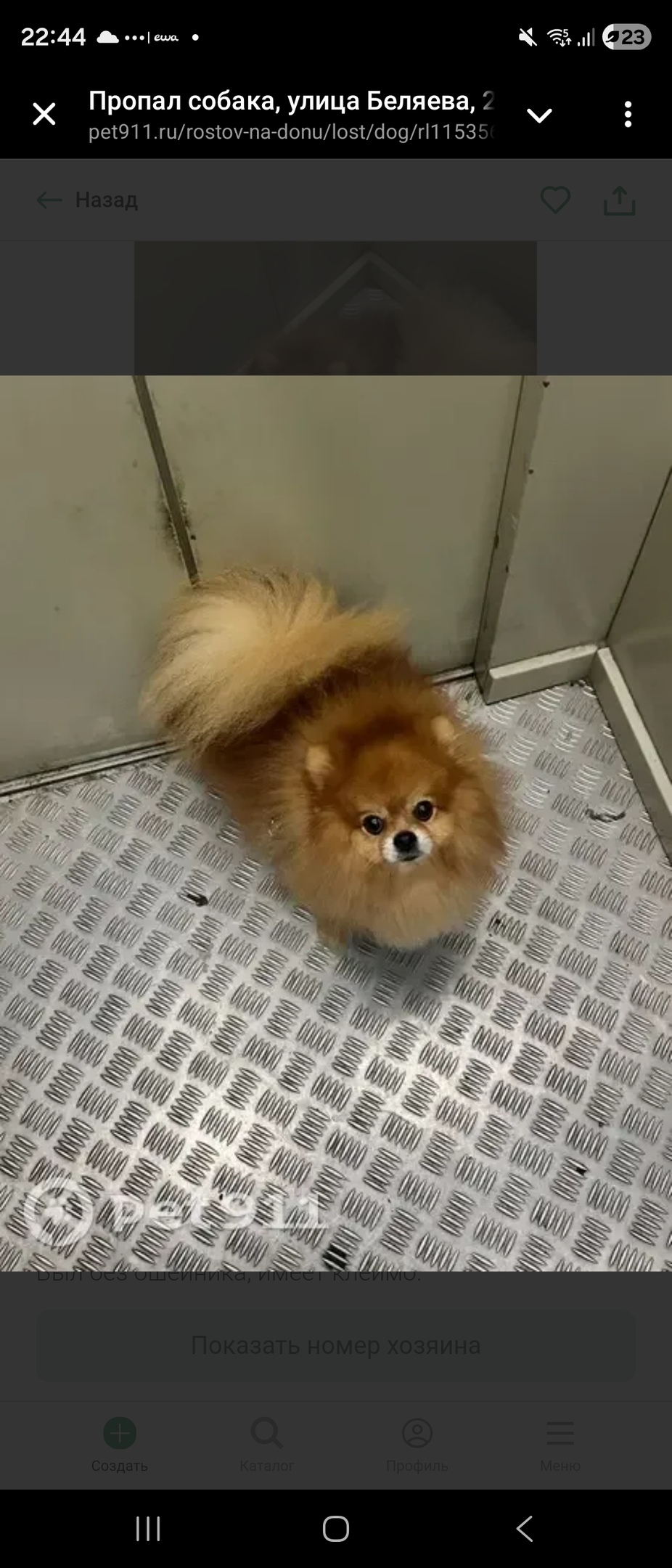 Пропала собака в Ростове-на-Дону — фото объявления