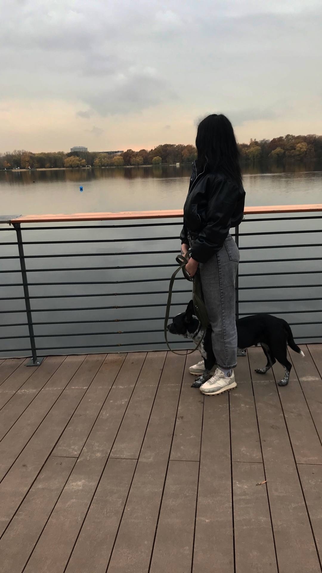 Пропала собака в Мытищах — фото объявления