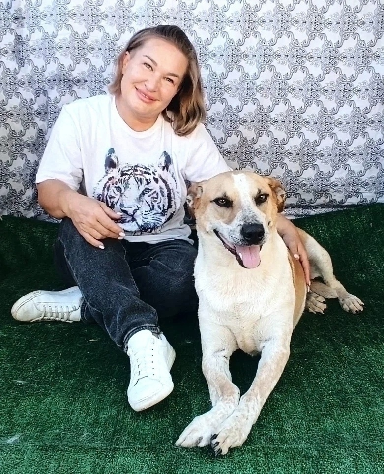 Найдена собака в Тольятти — фото объявления