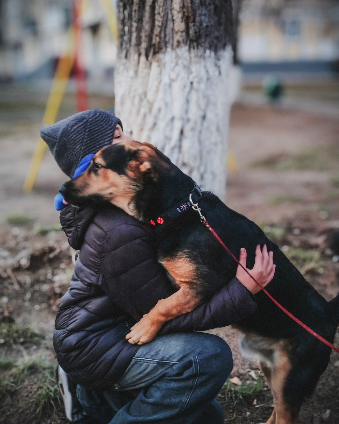 Найдена собака в Тольятти — фото объявления