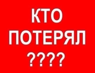 Пропала собака в Тольятти — фото объявления