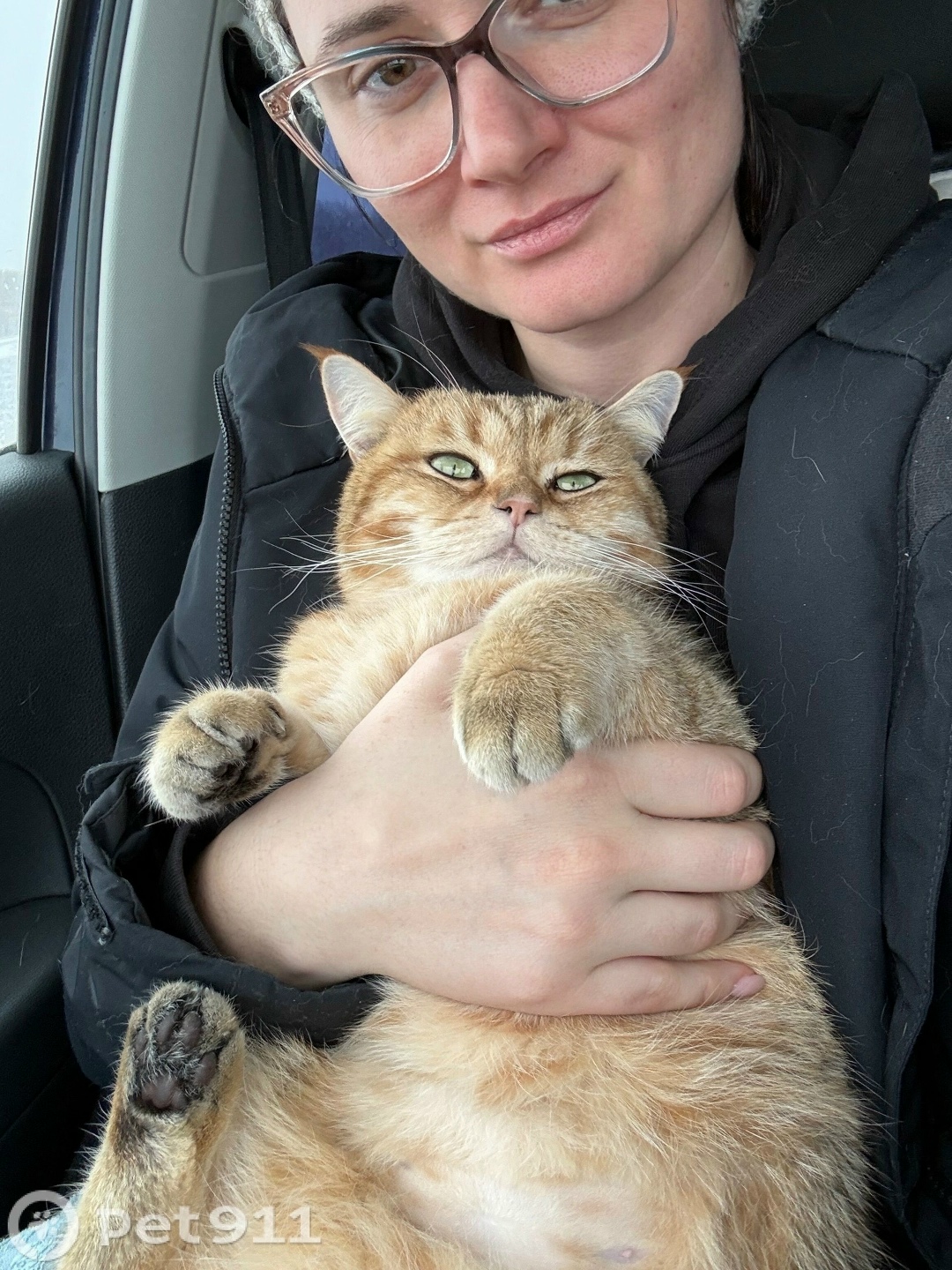 Пропала собака в Барнауле — фото объявления