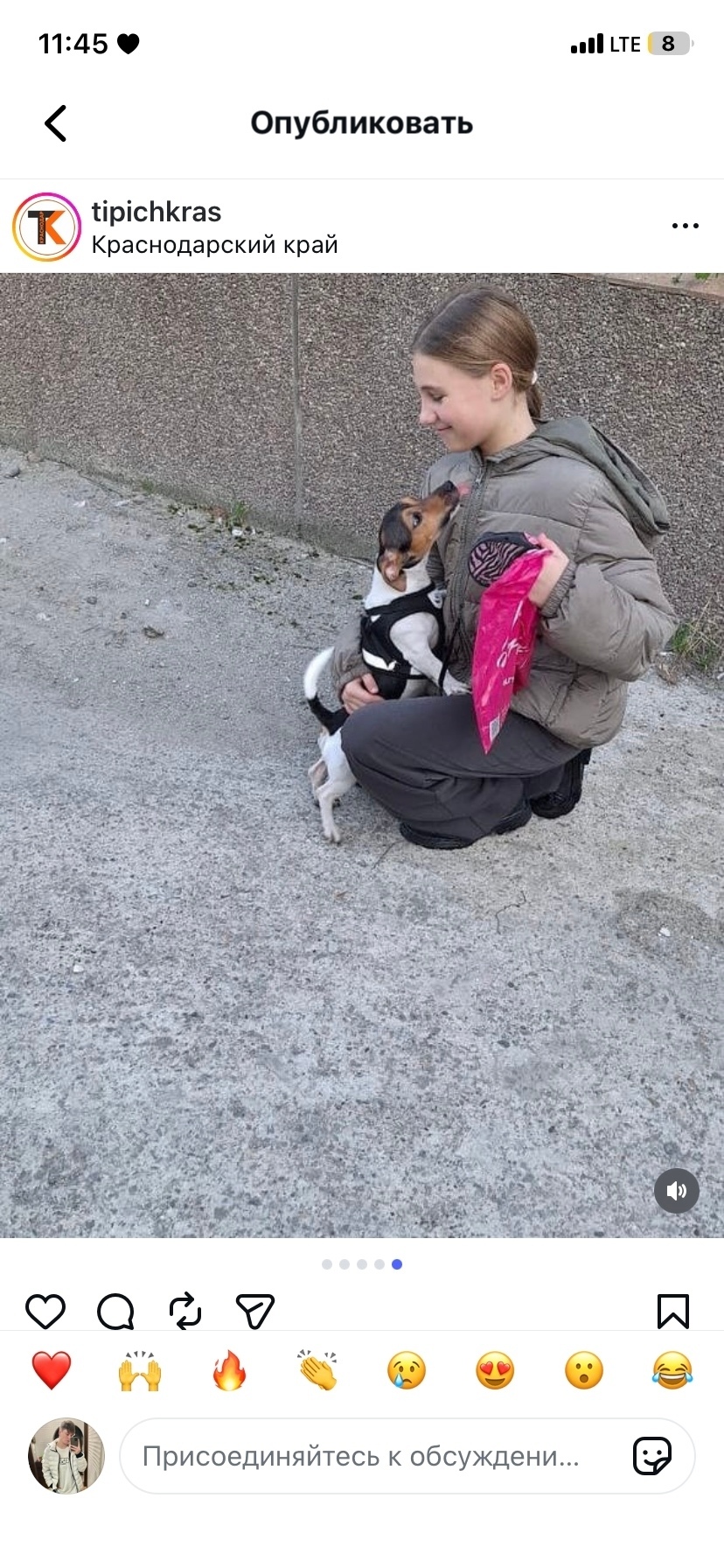 Пропала собака в Новороссийске — фото объявления