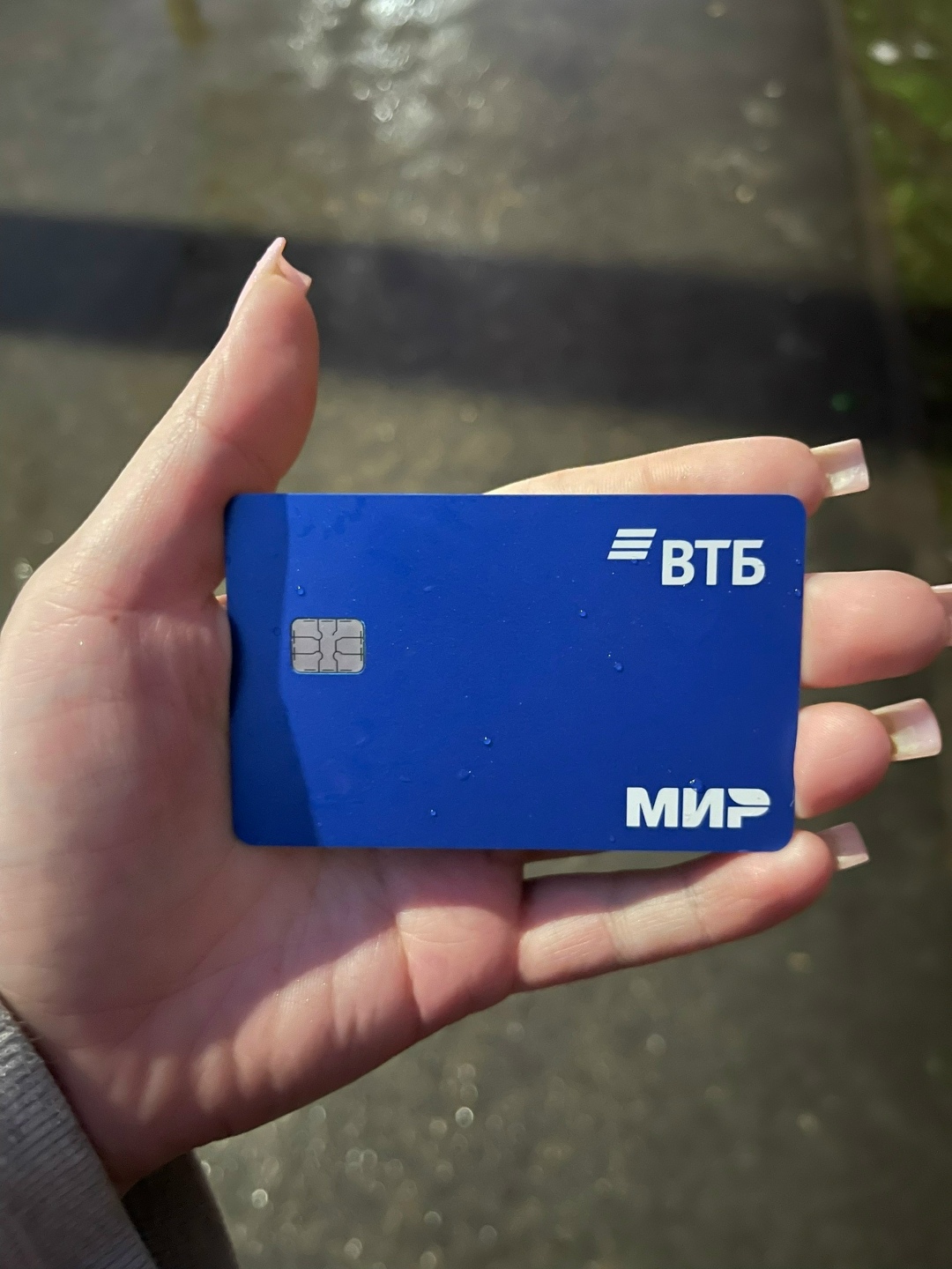 Найдена собака в Череповце — фото объявления